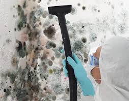 Trusted Sands Point, NY Mold Removal & Remediation Experts